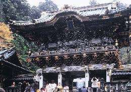 �y�G�[�XJTB�E�������s�z�Ȗ؃c�A�[�E�Ȗ؂̗��فE�z�e���\��@